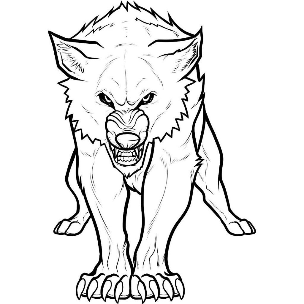 Dibujo de un lobo agresivo :: Imágenes y fotos