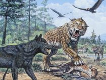 Extinto lobo gigante